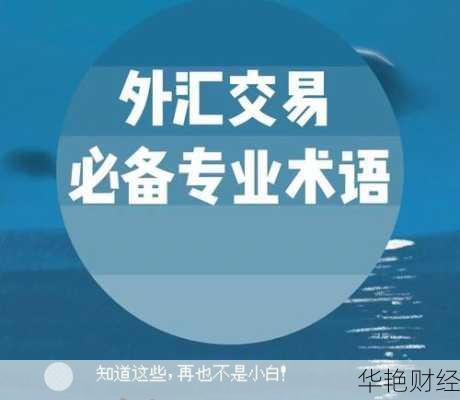 外汇知识是什么意思—外汇知识是什么意思啊