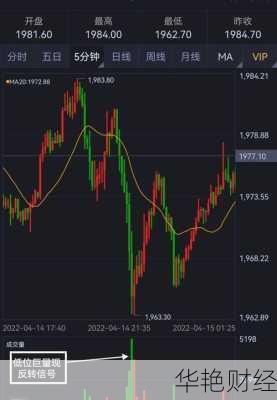 成交外汇是什么意思—成交外汇是什么意思啊