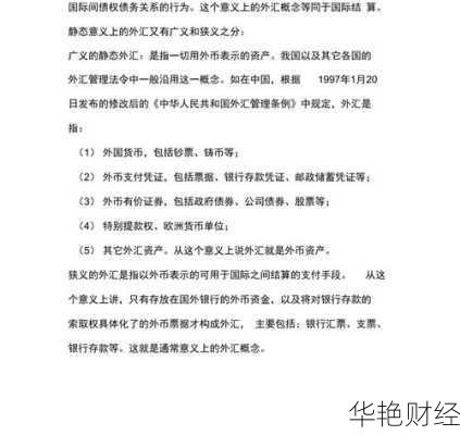 狭义外汇是什么意思—狭义外汇是什么意思啊