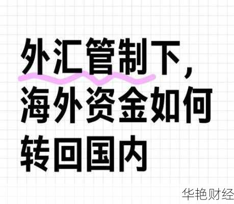 转移外汇是什么意思 转移外汇是什么意思啊