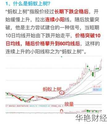 蚂蚁股票怎么购买,蚂蚁股票怎么购买的