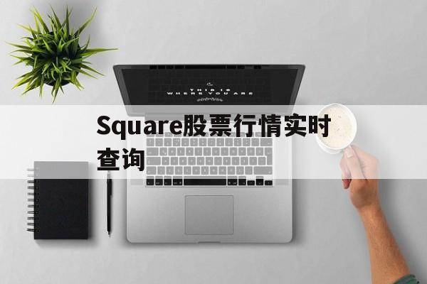 Square股票行情实时查询(chromadex股票实时行情)