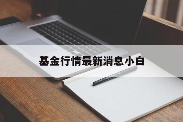 基金行情最新消息小白的简单介绍
