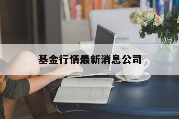 基金行情最新消息公司(基金行情查询163503)