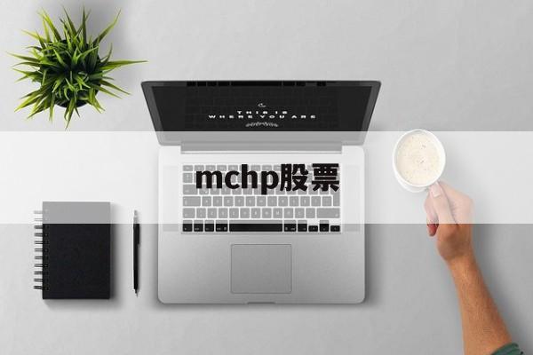 mchp股票(段永平持仓的中国股票)