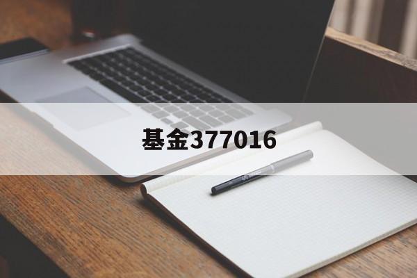 基金377016(基金377016分红情况)