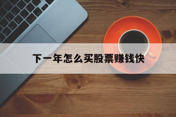 下一年怎么买股票赚钱快(下一年怎么买股票赚钱快呢)
