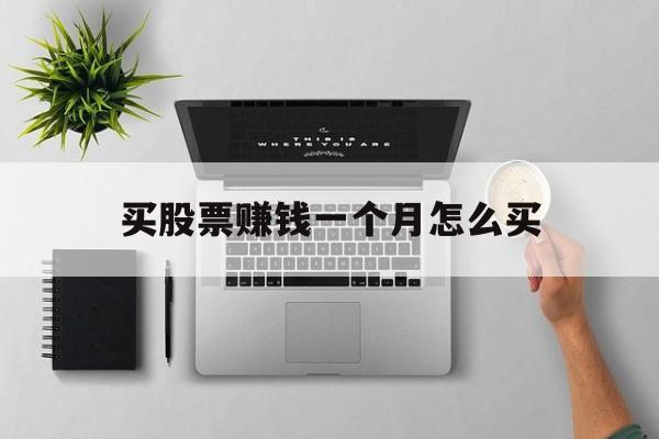 买股票赚钱一个月怎么买(买股票赚钱一个月怎么买的)