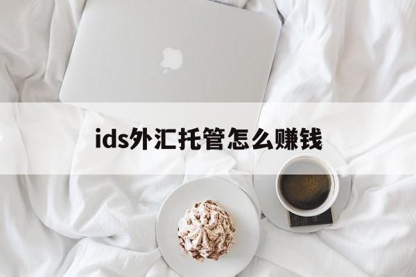 ids外汇托管怎么赚钱(打工人模拟器最快赚钱方法)