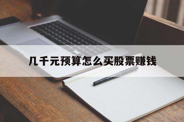 几千元预算怎么买股票赚钱(几千元预算怎么买股票赚钱的)