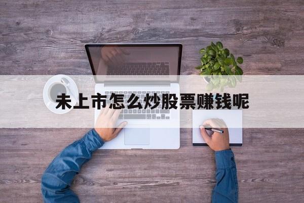 未上市怎么炒股票赚钱呢(未上市怎么炒股票赚钱呢知乎)