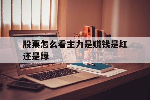 股票怎么看主力是赚钱是红还是绿(股票怎么看主力是赚钱是红还是绿呢)