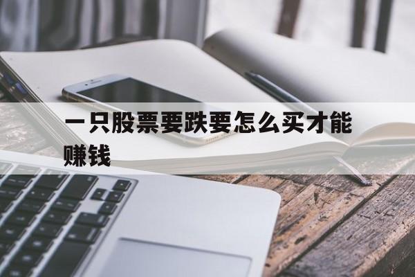 一只股票要跌要怎么买才能赚钱(一只股票要跌要怎么买才能赚钱呢)