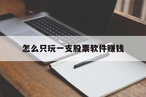 怎么只玩一支股票软件赚钱(怎么只玩一支股票软件赚钱呢)