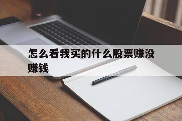 怎么看我买的什么股票赚没赚钱(怎么看我买的什么股票赚没赚钱呢)