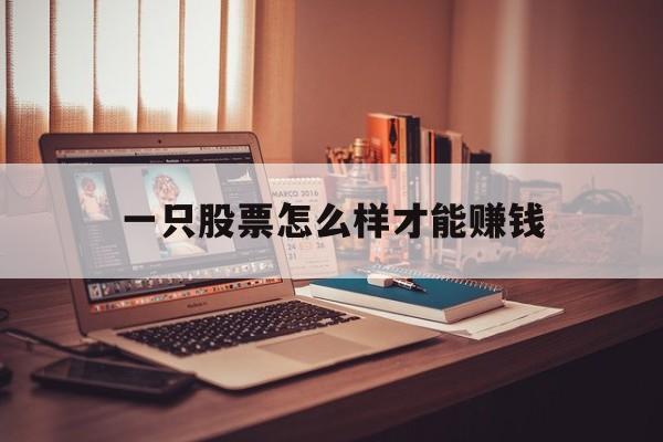 一只股票怎么样才能赚钱(一只股票怎么样才能赚钱呢)