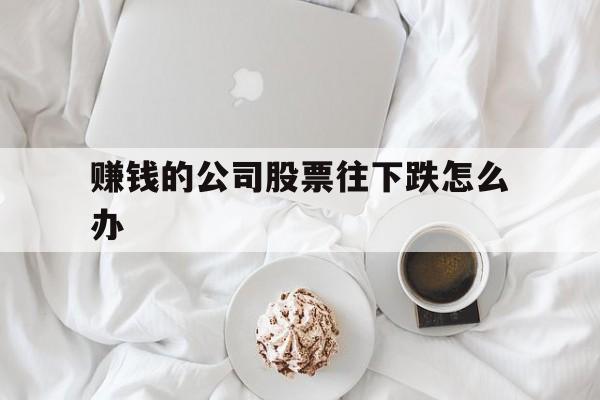 赚钱的公司股票往下跌怎么办(赚钱的公司股票往下跌怎么办呢)