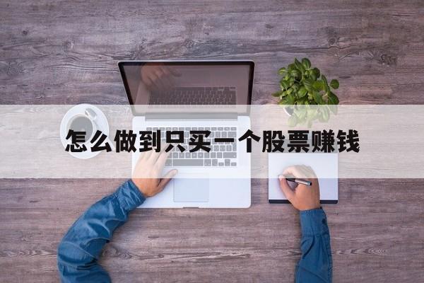 怎么做到只买一个股票赚钱(怎么做到只买一个股票赚钱呢)
