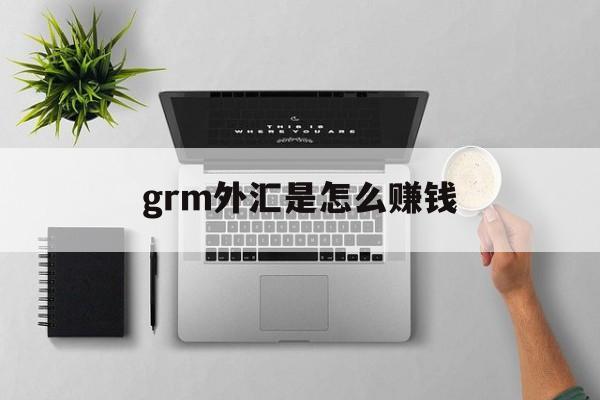 grm外汇是怎么赚钱(普爱思外汇是怎么挣钱的)