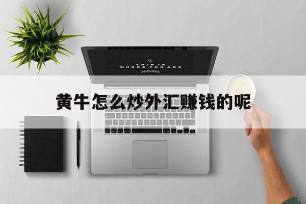 黄牛怎么炒外汇赚钱的呢(在中国个人炒外汇是否合法)