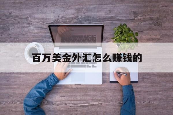 百万美金外汇怎么赚钱的(百万美金折合人民币多少钱)