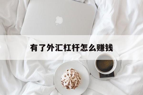 有了外汇杠杆怎么赚钱(外汇杠杆原理是什么意思)