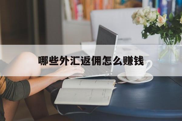哪些外汇返佣怎么赚钱(外汇返佣代理方案细则说明)