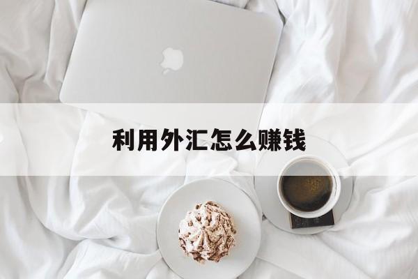 利用外汇怎么赚钱(利用外汇怎么赚钱最快)