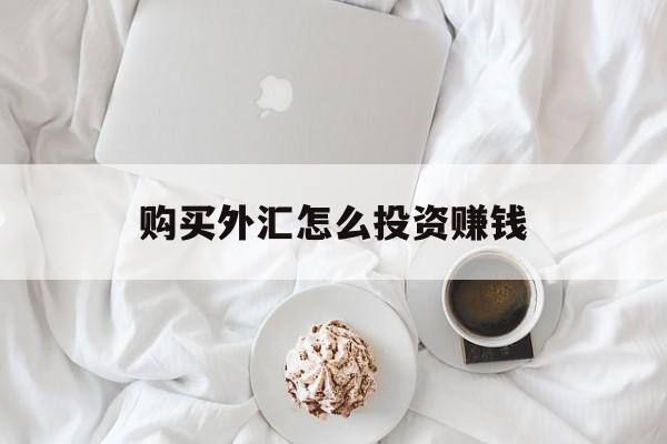 购买外汇怎么投资赚钱(购买外汇怎么投资赚钱的)