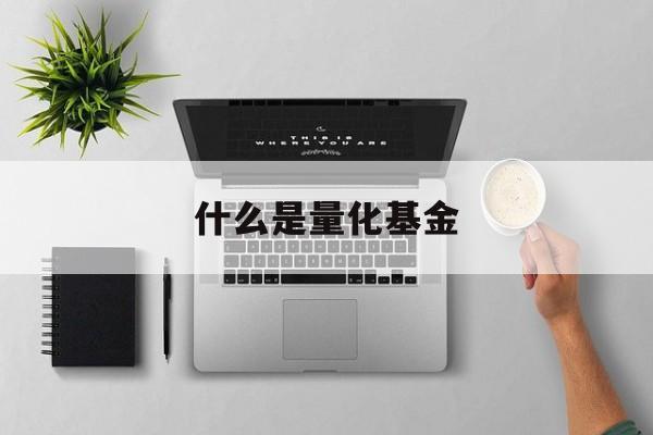什么是量化基金(什么是量化基金的两大核心)