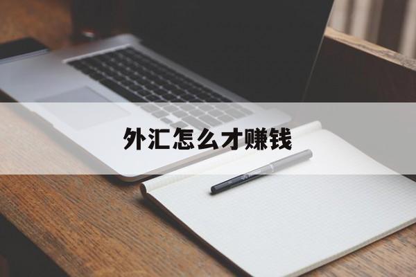 外汇怎么才赚钱(外汇是怎么赚钱的?收益率高吗)