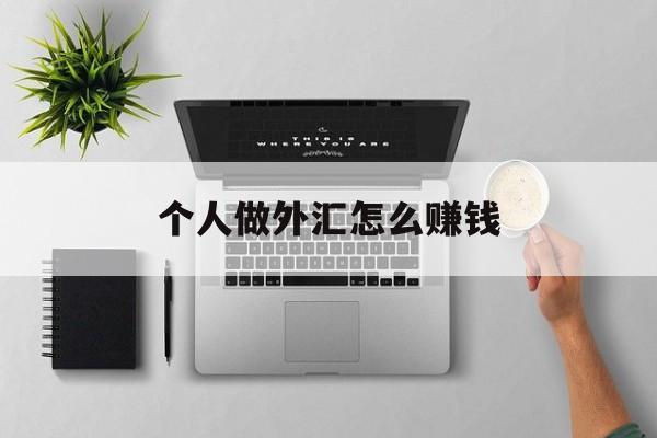 个人做外汇怎么赚钱(个人做外汇怎么赚钱最快)