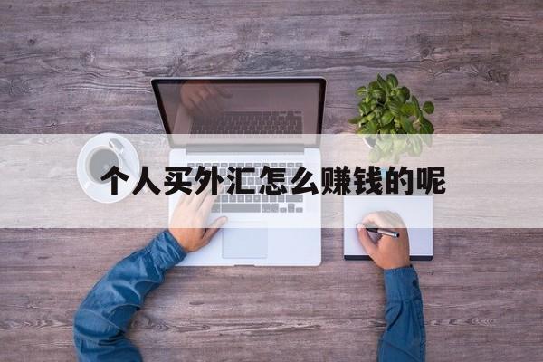 个人买外汇怎么赚钱的呢(个人买外汇怎么赚钱的呢视频)