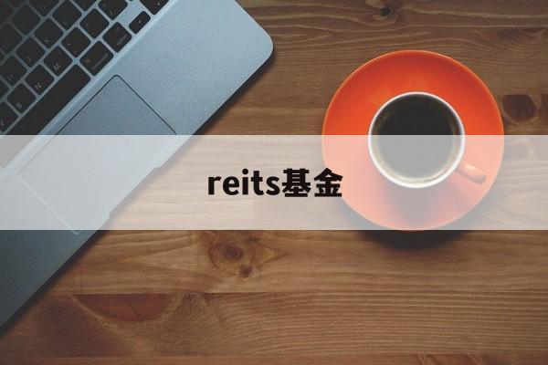 reits基金(reits基金发行最新消息)