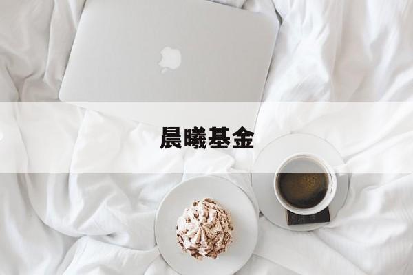 晨曦基金(晨曦基金怎么样)