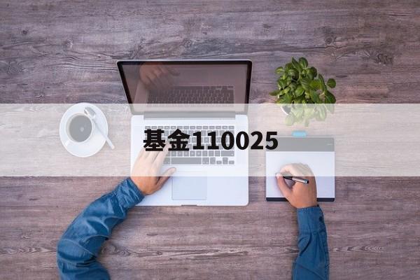 基金110025(基金110025最新净值查询)