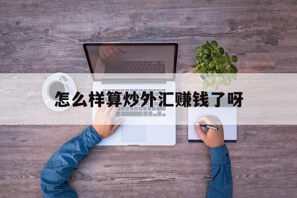怎么样算炒外汇赚钱了呀(怎么样算炒外汇赚钱了呀视频)