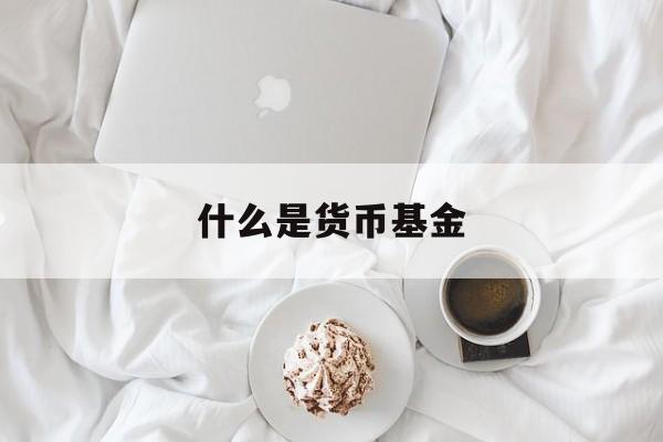 什么是货币基金(什么是货币基金什么是非货币基金)