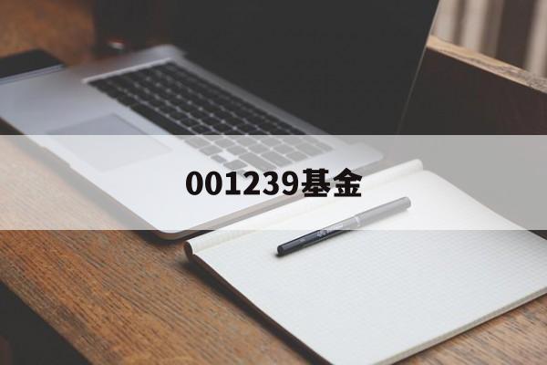 001239基金(001239基金还会不会涨)