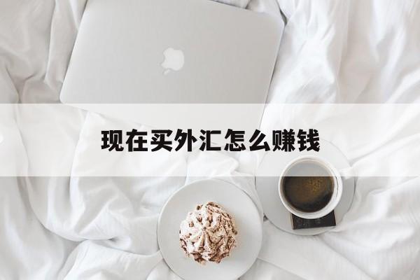 现在买外汇怎么赚钱(现在买外汇怎么赚钱的)