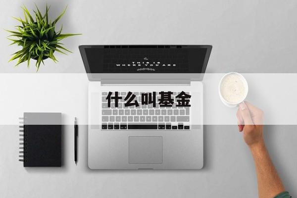 什么叫基金(什么叫基金支付什么叫个人支付)