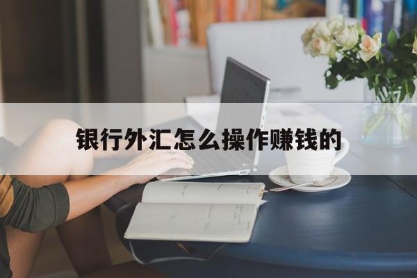 银行外汇怎么操作赚钱的(银行外汇手续费怎么收取的)