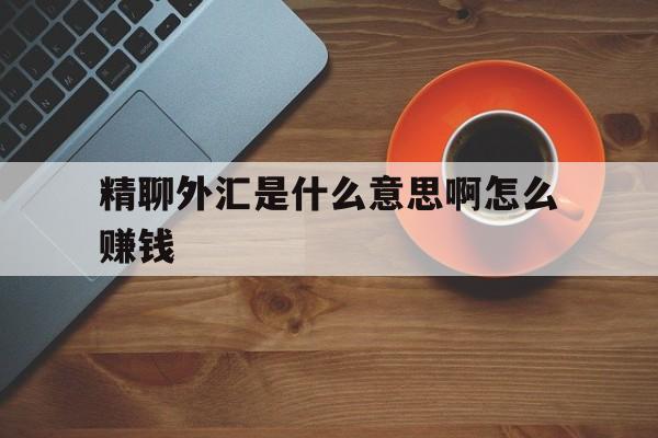 精聊外汇是什么意思啊怎么赚钱(精聊外汇是什么意思啊怎么赚钱的)