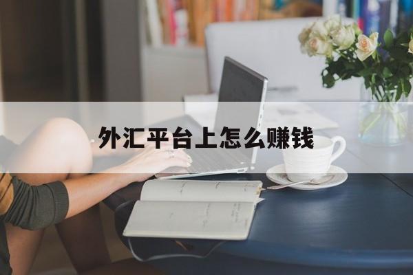 外汇平台上怎么赚钱(外汇平台上怎么赚钱最快)