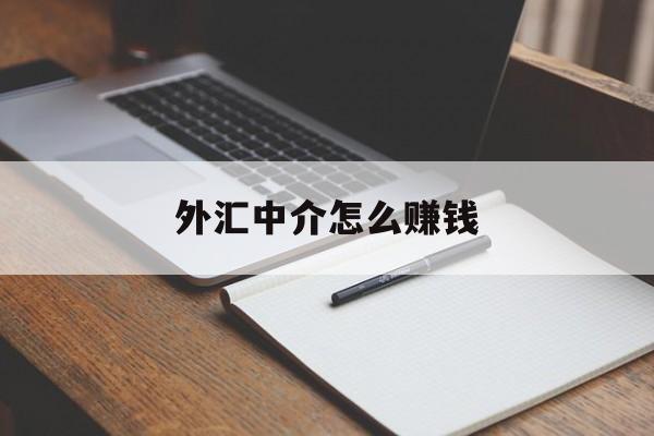 外汇中介怎么赚钱(外汇中介是干什么的)