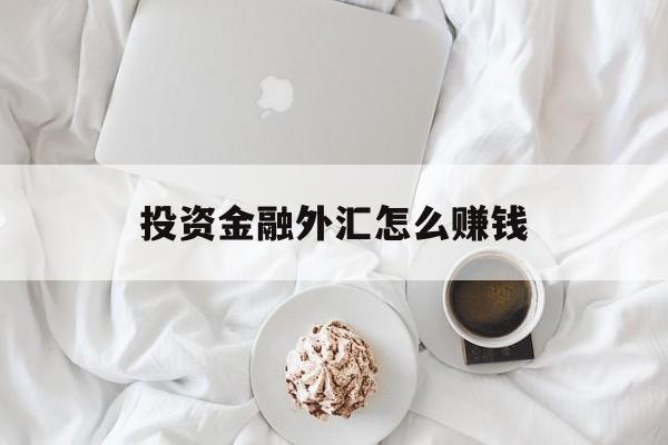 投资金融外汇怎么赚钱(投资金融外汇怎么赚钱的)