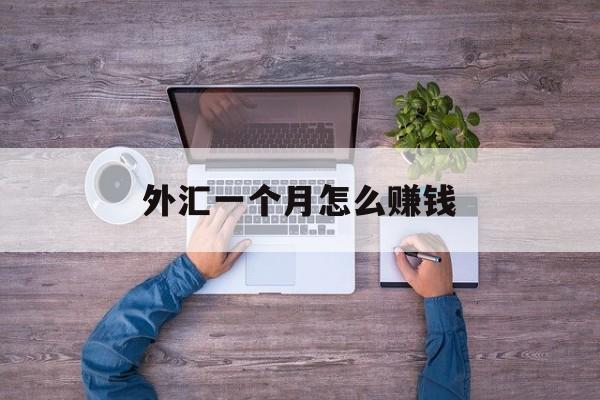 外汇一个月怎么赚钱(外汇一年怎么赚一千万)
