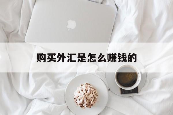 购买外汇是怎么赚钱的(购买外汇是怎么赚钱的呢) 购买外汇是怎么赚钱的(购买外汇是怎么赚钱的呢)
