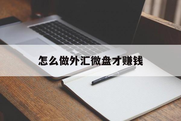 关于怎么做外汇微盘才赚钱的信息