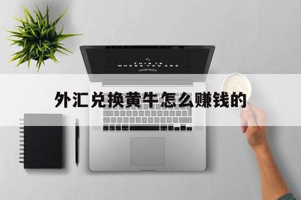 外汇兑换黄牛怎么赚钱的(外汇兑换黄牛怎么赚钱的呢)